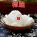 云南中药材樟脑樟脑块樟脑粉防霉