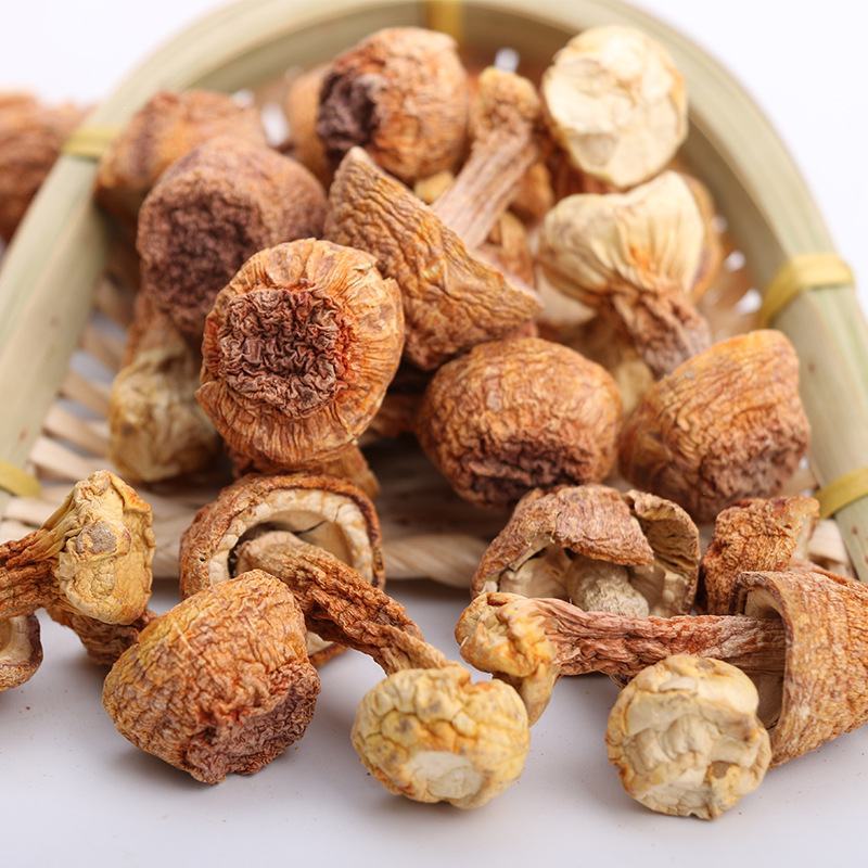 姬松茸云南产地巴西蘑菇食用菌干货大量供应