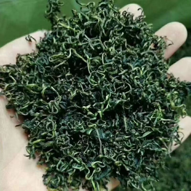 蒲公英茶，精挑细选岀来的新茶，干度好，颜色绿，味道浓！