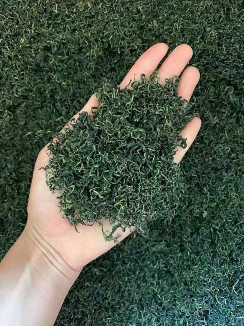 蒲公英茶，精挑细选岀来的新茶，干度好，颜色绿，味道浓！