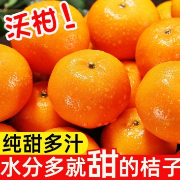 广西正宗沃柑，产地直发，口感甘甜，有意者私聊