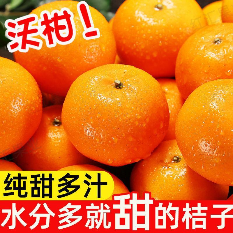 广西正宗沃柑，产地直发，口感甘甜，有意者私聊