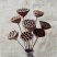 干莲蓬莲蓬干花禅意干花插花精品干莲蓬真花