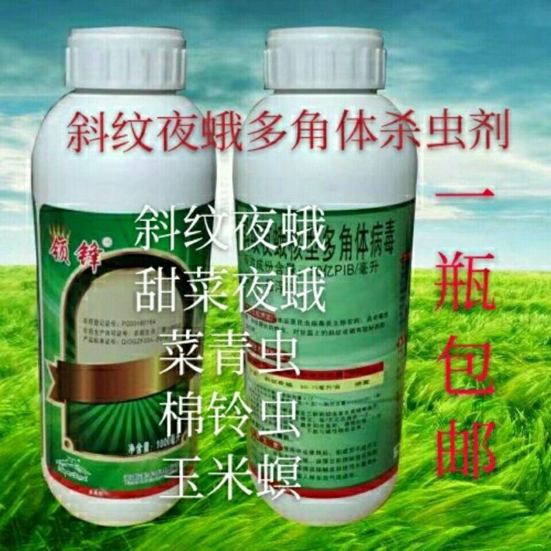 领锋防治斜纹夜蛾棉铃虫菜青虫吊丝虫甜菜夜蛾杀虫剂