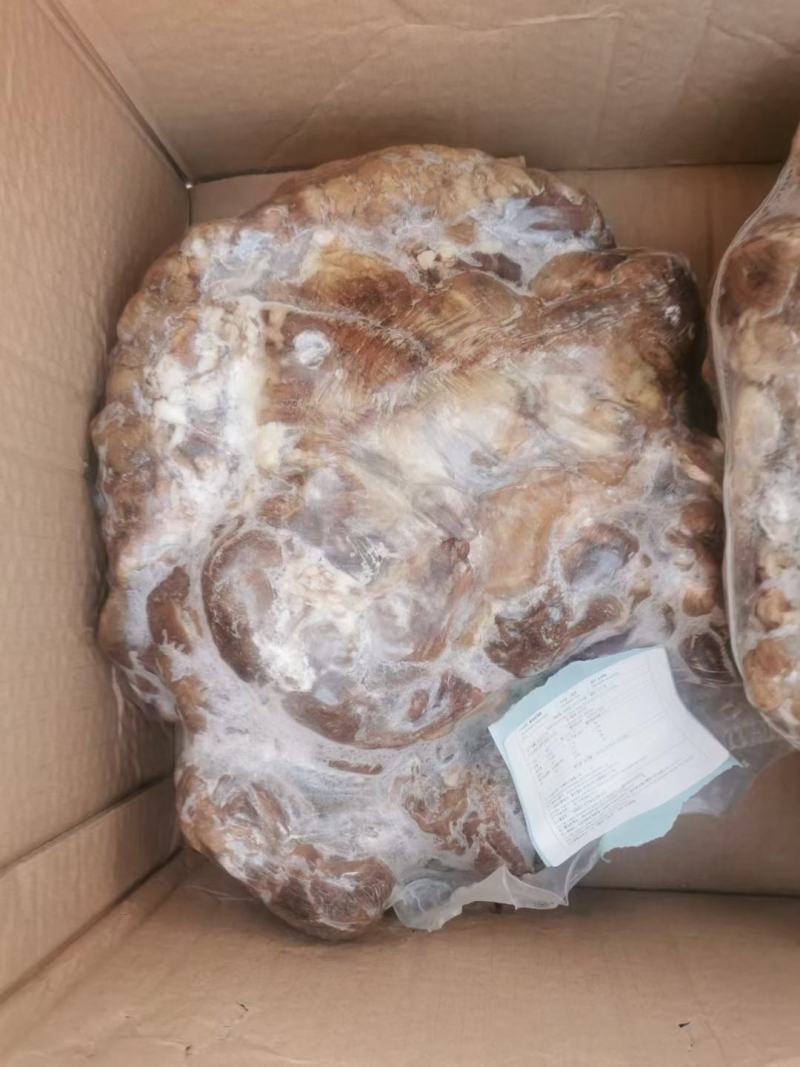 八成熟牛腩，牛腱子大量现货供应