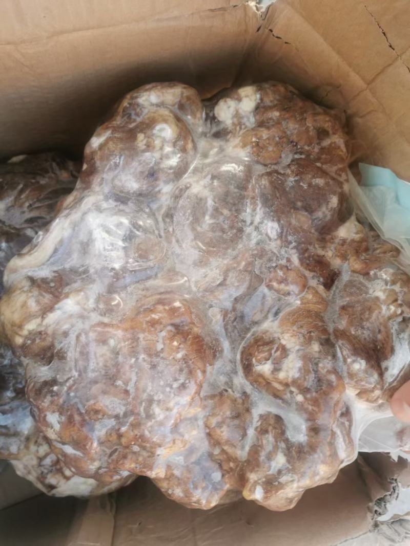 八成熟牛腩，牛腱子大量现货供应