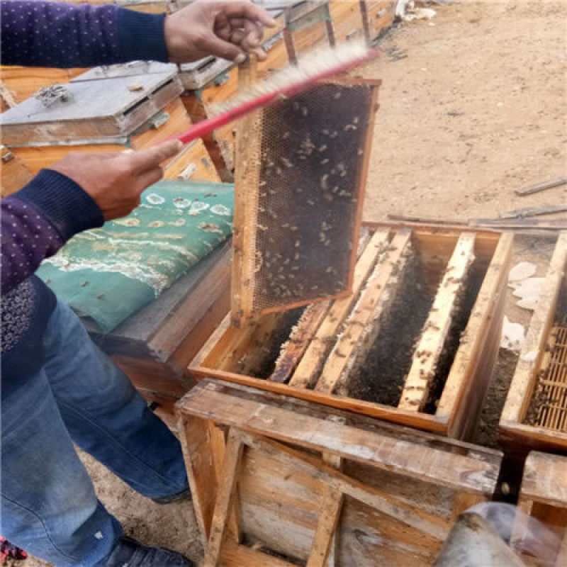 广西野生蜂蜜糖，色泽晶莹剔透，口感纯正，有需要的联系我