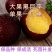 李子苗黒霸王李子苗大果李子苗0.6com以上一级苗
