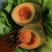 鸡皮蛋/鸭皮蛋/松花皮蛋，长期现货保质保量，需要的联系！