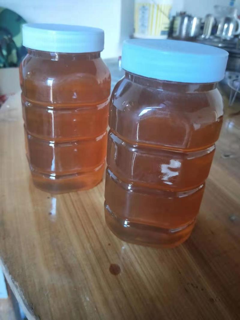 龙眼蜜原生态高营养品质纯正欢迎下单起拍包邮