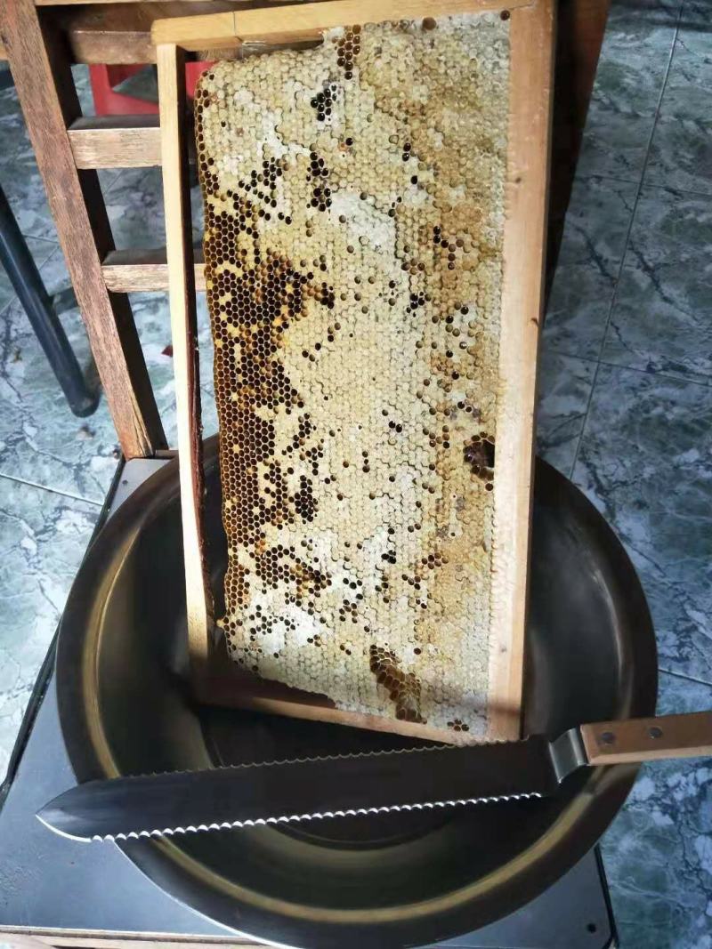 龙眼蜜原生态高营养品质纯正欢迎下单起拍包邮