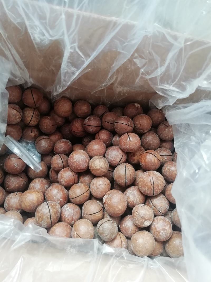 夏威夷果，精选优质大颗粒，无坏果，2斤起/包邮