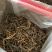 英红九号红茶英德红茶500克春茶红茶英德特产批发