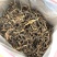 英红九号红茶英德红茶500克春茶红茶英德特产批发