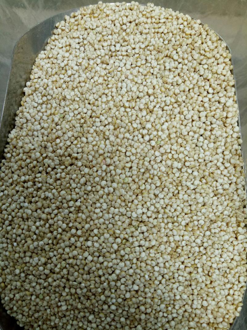 玻利维亚白藜麦，我司长期供应进口藜麦，量大价优