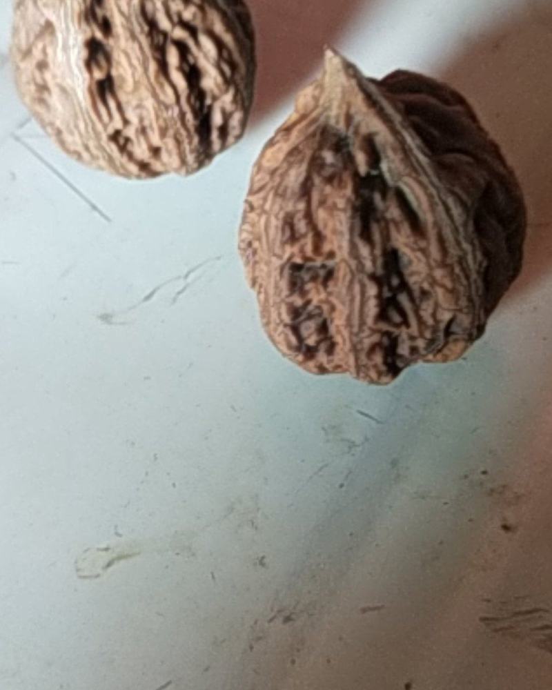 七彩韵乡大山文玩核桃