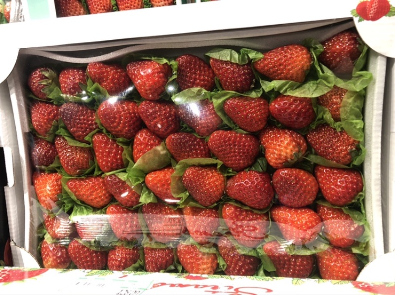 包装纸西红柿垫好葡萄包装纸草莓包装纸