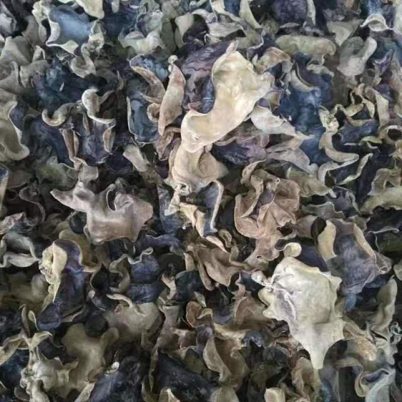 木耳地摊跑量水洗毛木耳干货毛木耳基地直供无添加