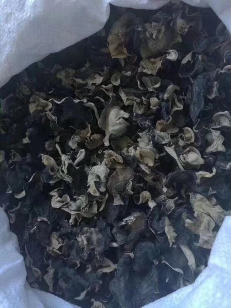 木耳地摊跑量水洗毛木耳干货毛木耳基地直供无添加