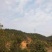 山地转让，950亩，一代广九桉树，进场可经营，27年