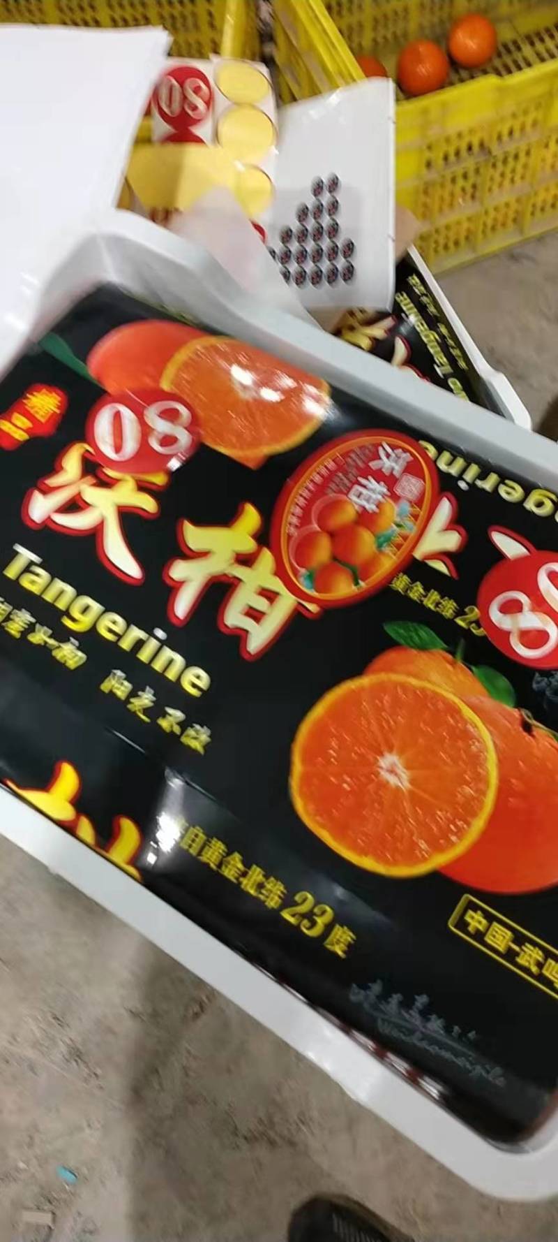 沃柑榨汁果饮料果对接电商外贸出口饮料加工大众批发
