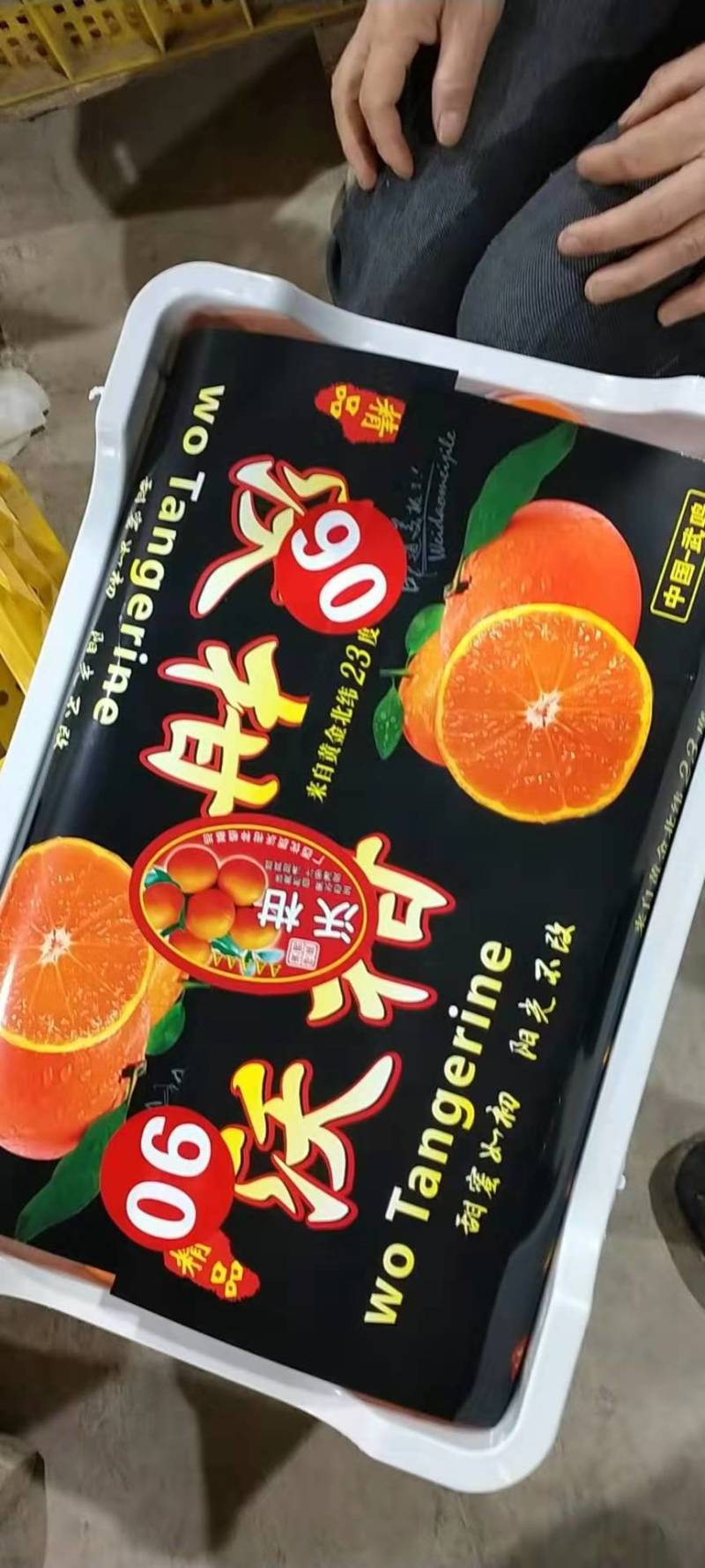 沃柑榨汁果饮料果对接电商外贸出口饮料加工大众批发