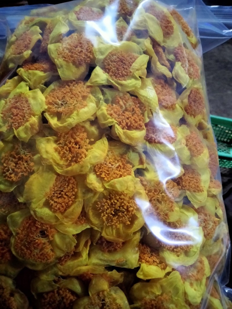 金花茶，防普烘干花来自广西防城港十万山自产