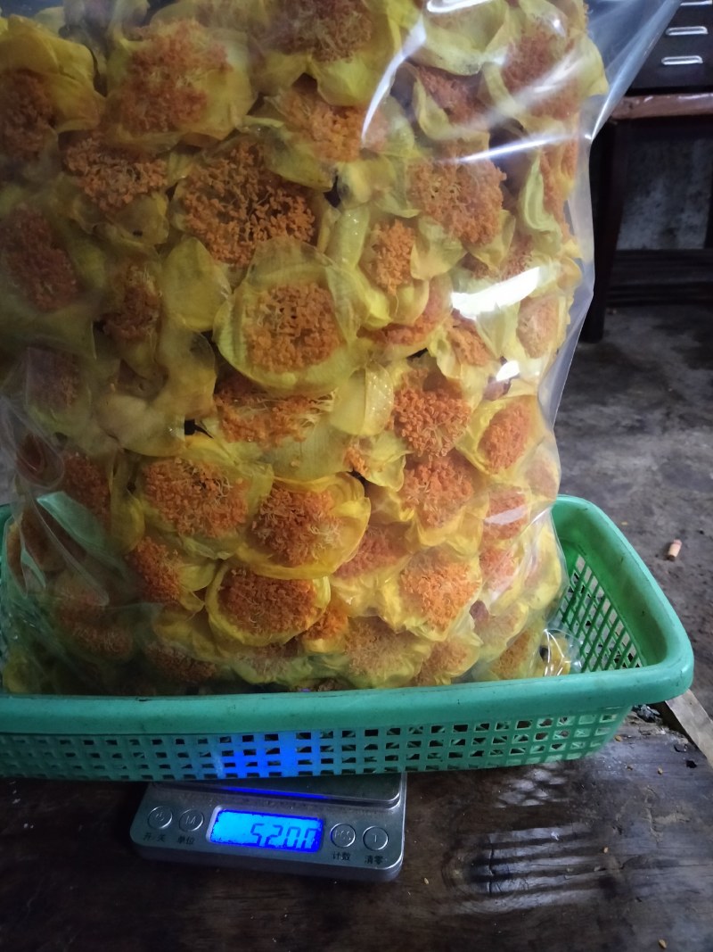 广西防城港自产金花茶种植户借此平台推广烘干每斤300元