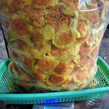 金花茶盛开季节准备结束，烘干300元每斤