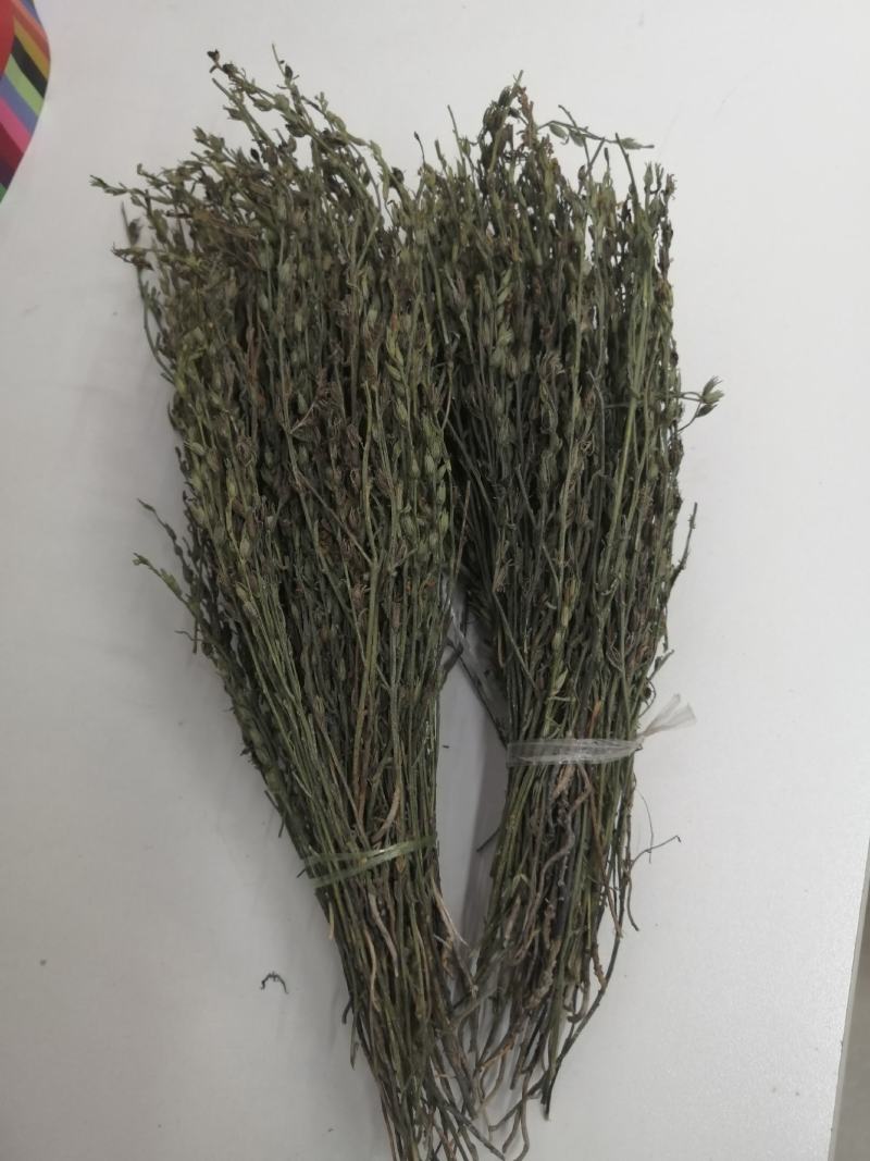 独脚金独脚柑独脚金新货上市独脚金干货大货批发