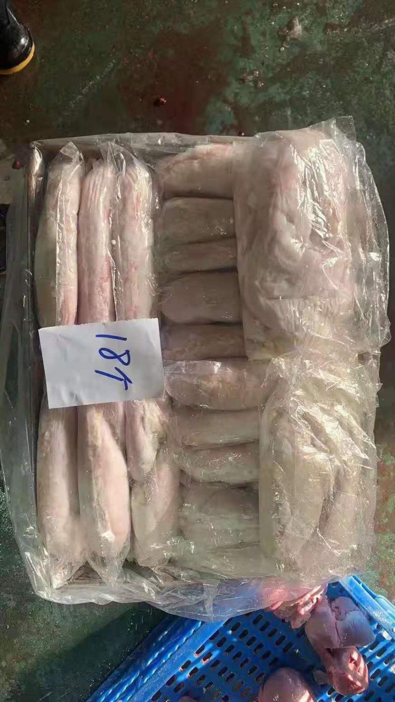 肥猪大肚，16一18个定装，国产货