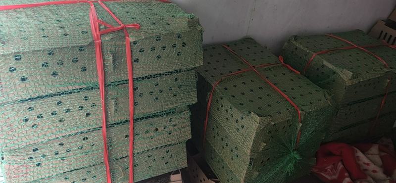 黑羽绿壳蛋鸡苗黑毛蛋鸡出壳苗黑羽白皮土鸡苗质量正宗高产蛋