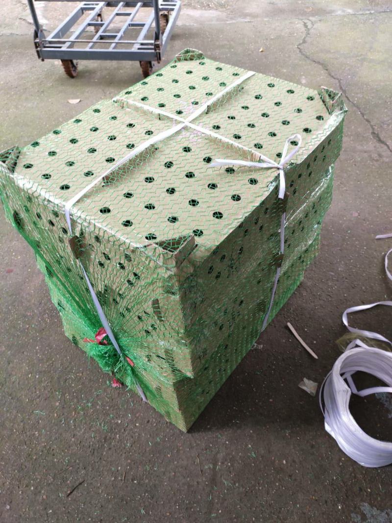 黑羽绿壳蛋鸡苗黑毛蛋鸡出壳苗黑羽白皮土鸡苗质量正宗高产蛋