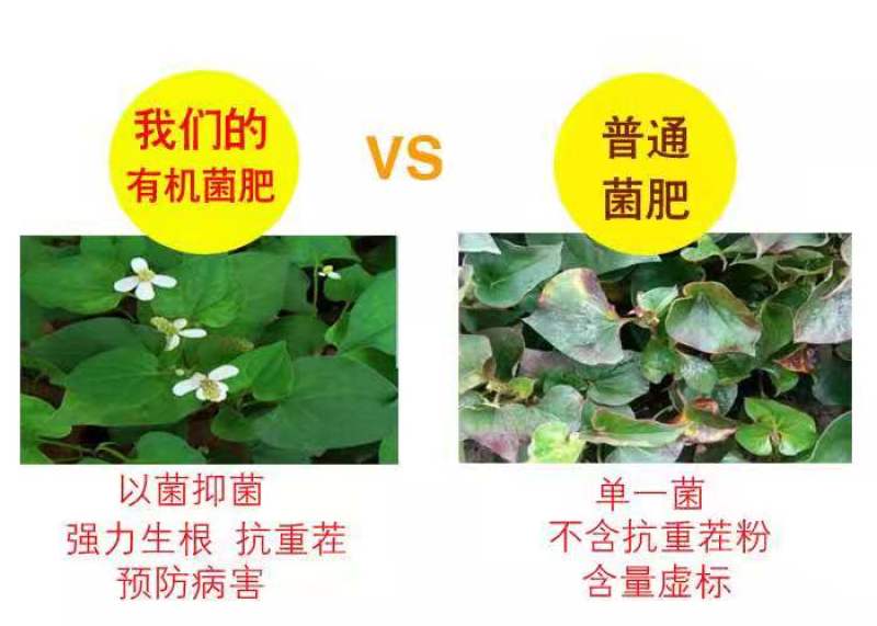 生物有机菌肥有机肥肥料有机质50活性菌2亿/克