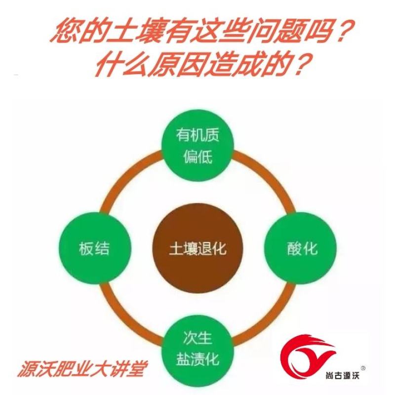 生物有机菌肥有机肥肥料有机质50活性菌2亿/克