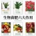生物有机菌肥有机肥肥料有机质50活性菌2亿/克