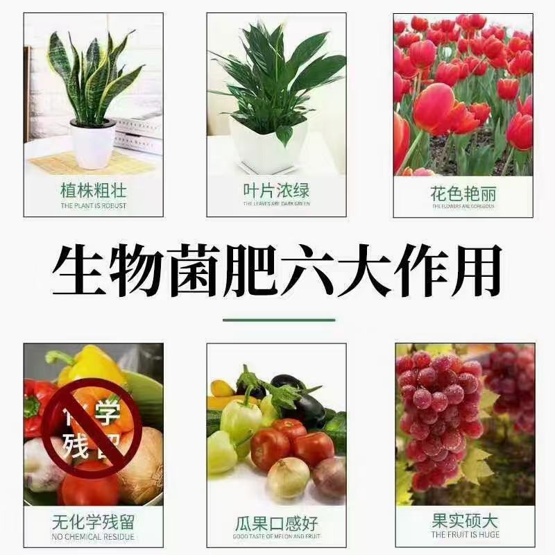 生物有机菌肥有机肥肥料有机质50活性菌2亿/克