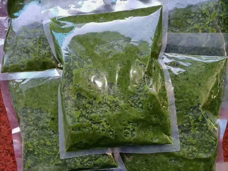 【韭菜花】当地特产草原韭菜花酱！常年有货产地直发
