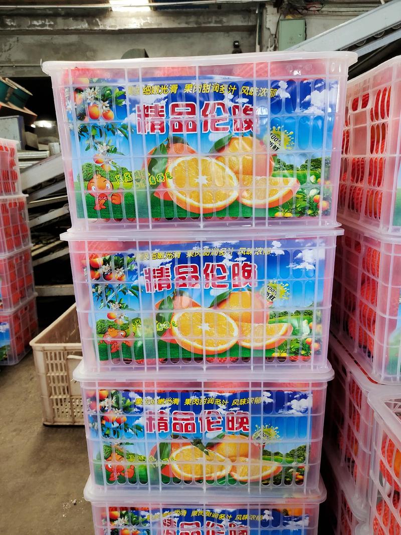 【畅销榜】伦晚脐橙/帝王橙/春橙水份足纯甜化渣自销一手货源