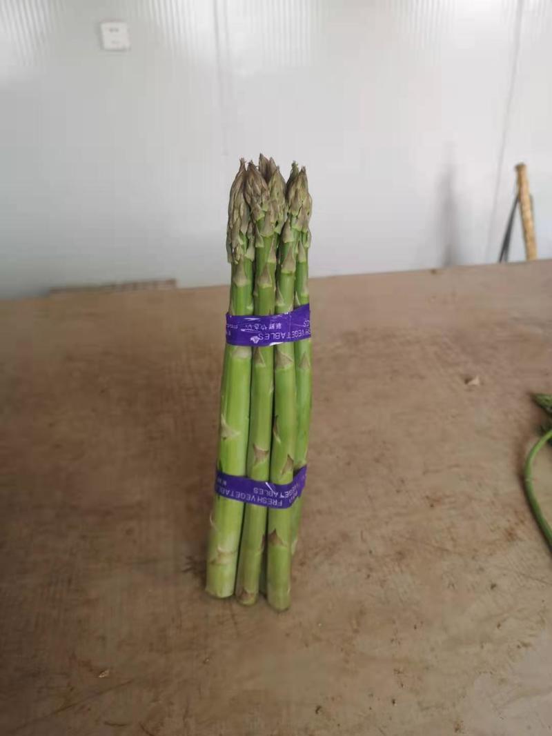 自己种植300亩有机芦笋