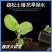 生物有机菌肥生物有机肥有机肥菌肥肥料