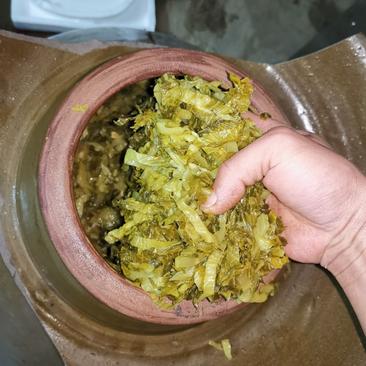 客家纯手工酸菜，采摘新鲜芥菜，传统陶罐制作发酵，