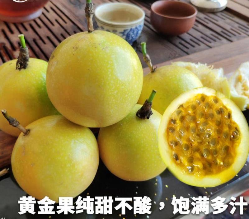 新品种金霸黄金百香果苗1个2斤庭院种植盆栽南北方种植