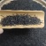 【茶农批发】正山小种红茶红茶花香蜜香500g批发