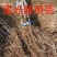 蜜光葡萄苗早熟玫瑰香味基地直发纯度高包成活