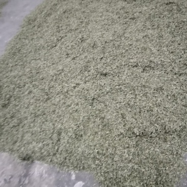 大量批发雅安绿茶量大从优