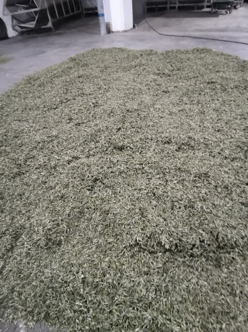 大量批发雅安绿茶量大从优