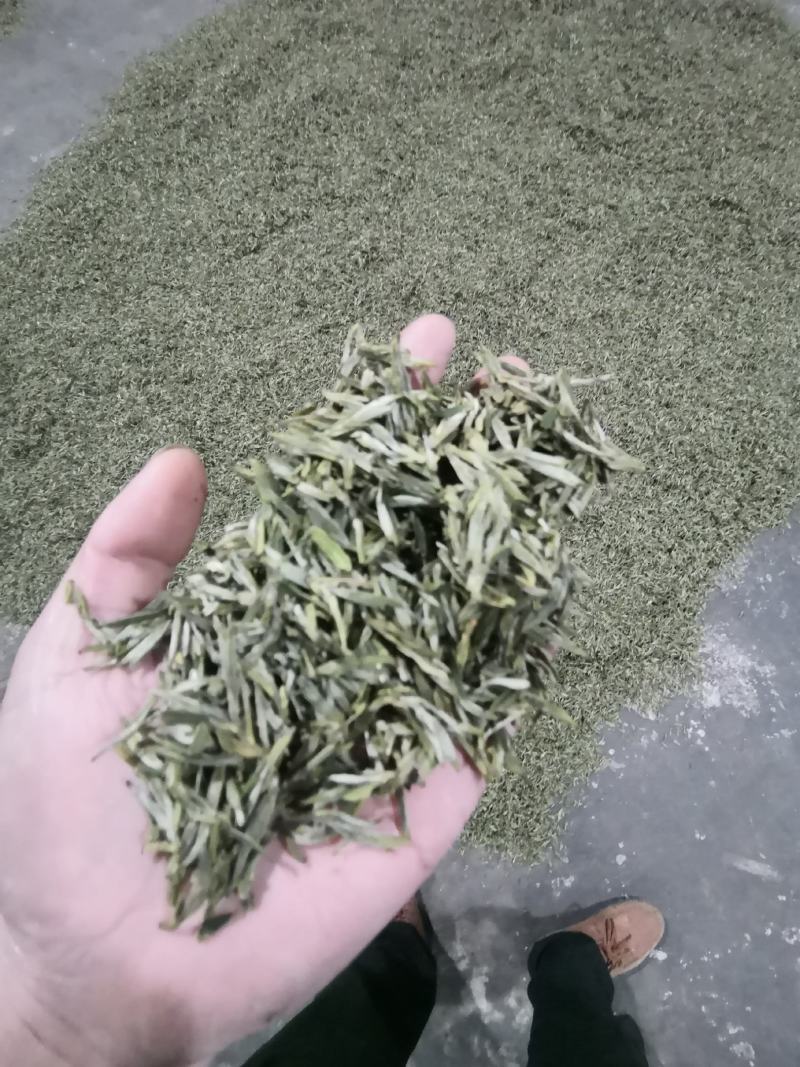 大量批发雅安绿茶量大从优