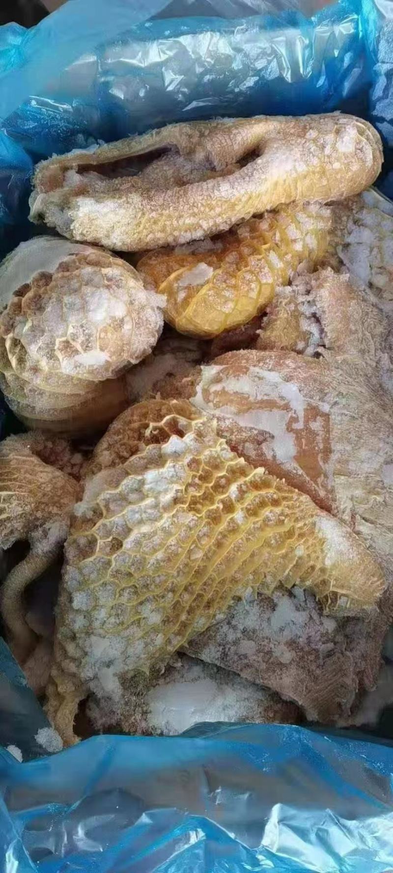 牛金肚，到货价格便宜……