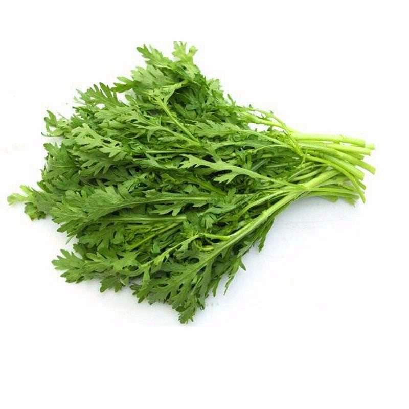 小叶茼蒿种子大全农家大叶茼蒿种籽菜籽四季皇帝菜种青菜蔬菜